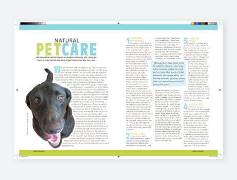 Magazine Layout